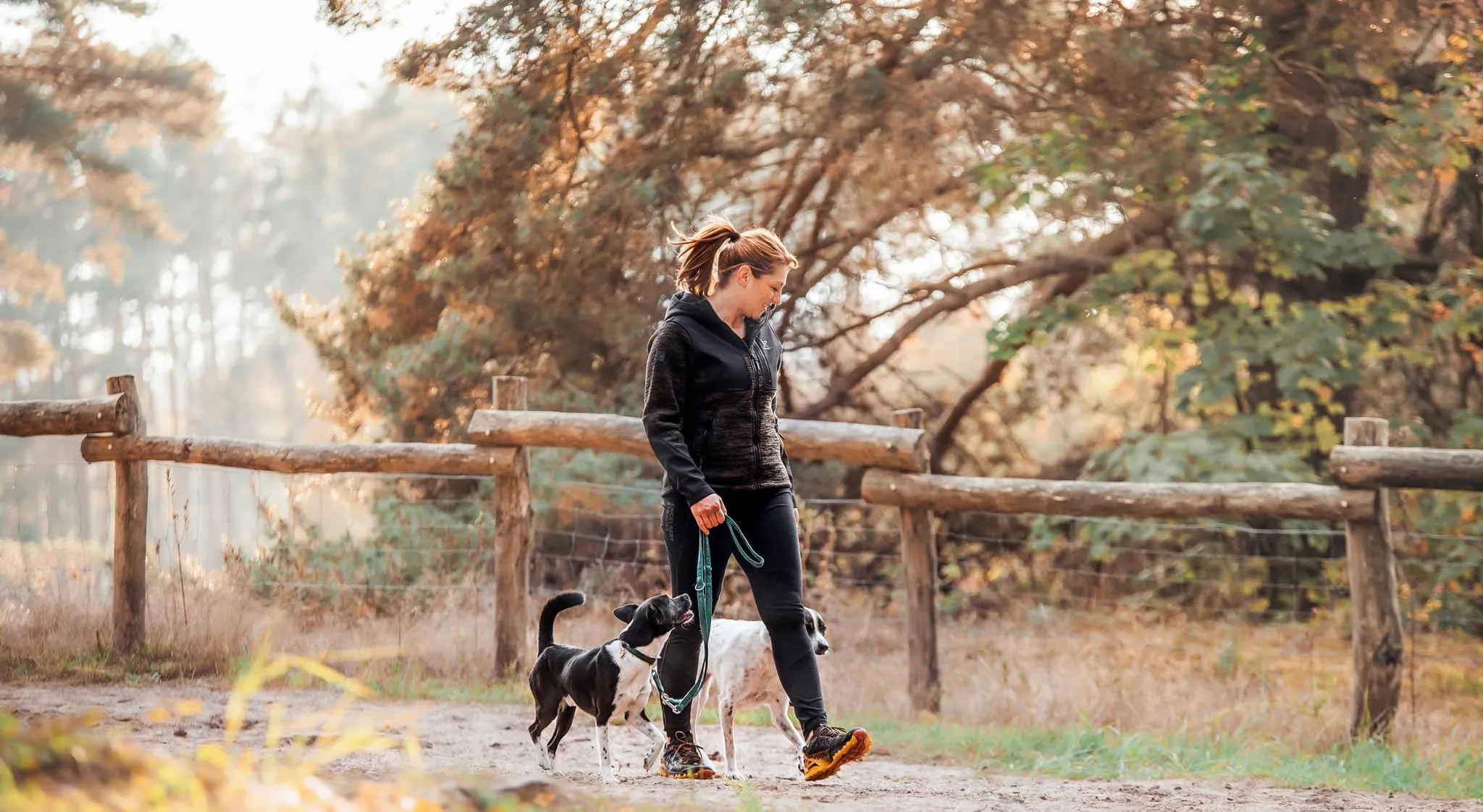 Steffi walks with her two dogs on a forest path