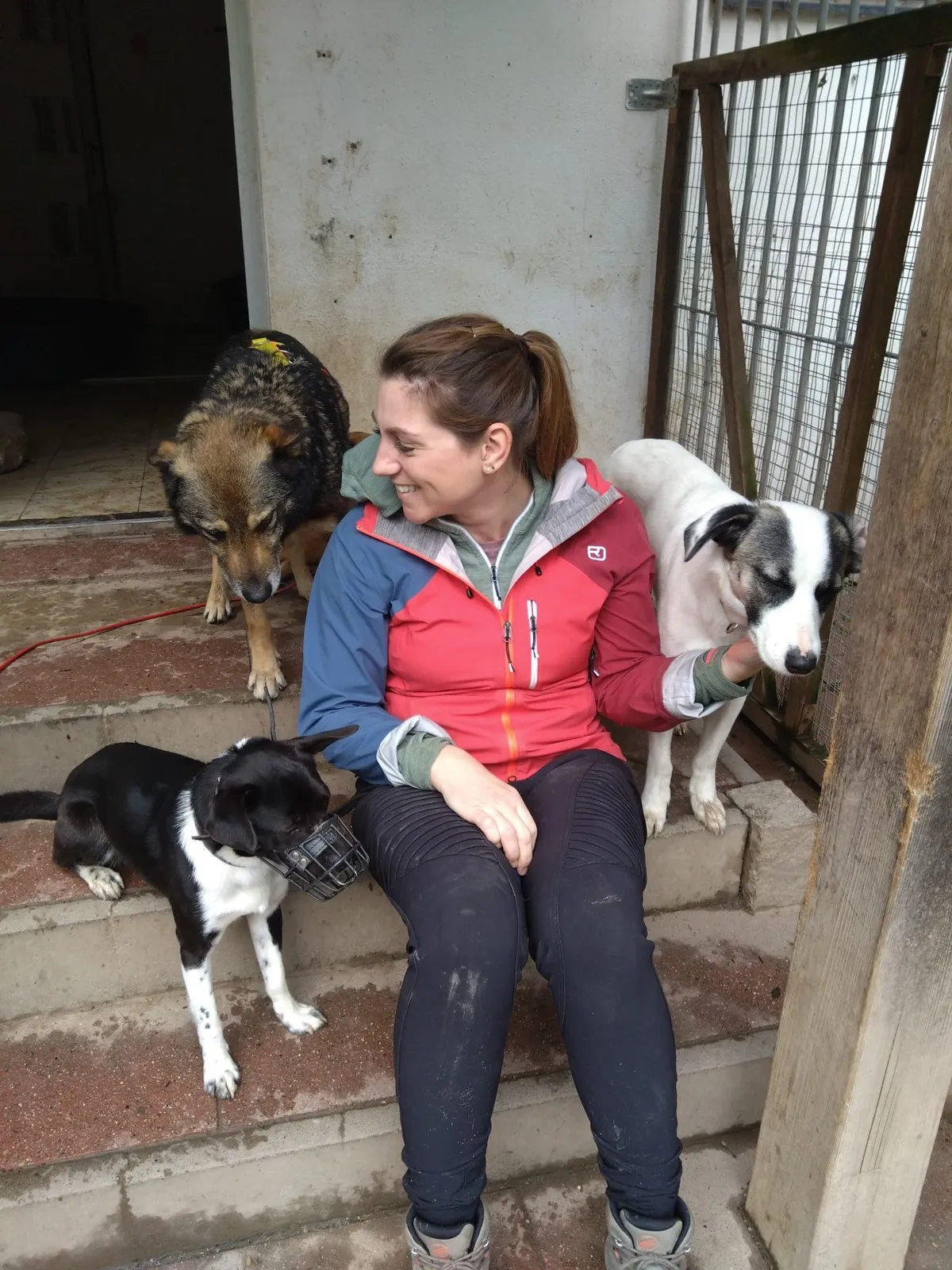 Steffi with several dogs during her internship at the animal shelter
