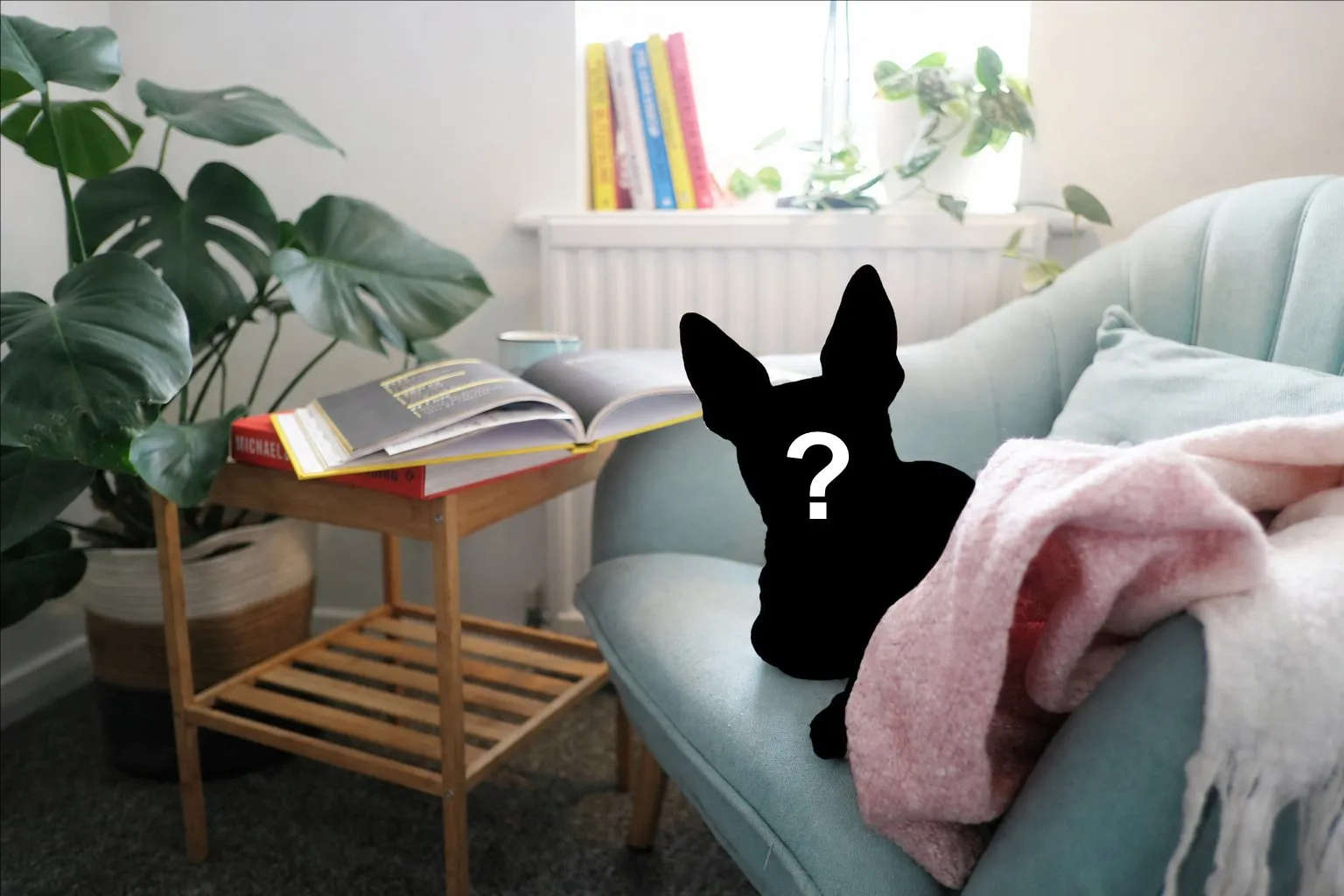 Schwarze Silhouette eines Hundes auf einem Sofa
